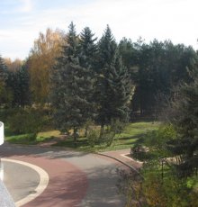 Вид на лесопарковую зону